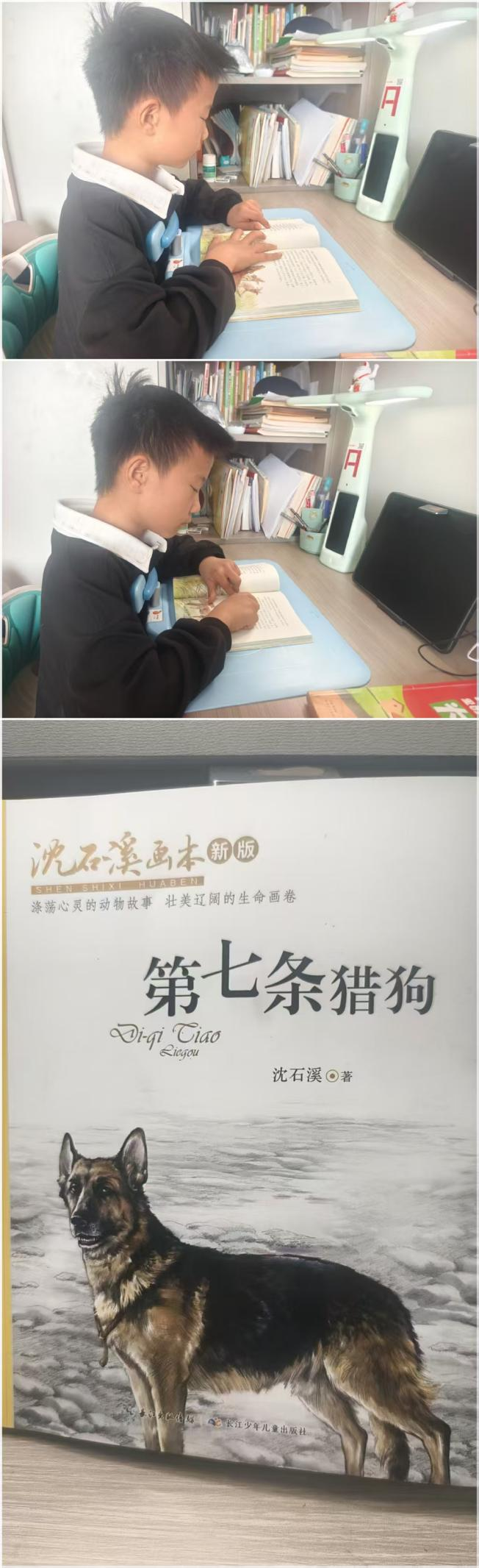 图片 4.png